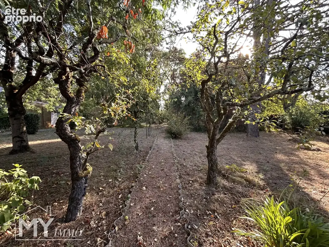 PINEUILH : Maison proche des commodités, jardin arboré, garage et terrasse couverte - photo 25