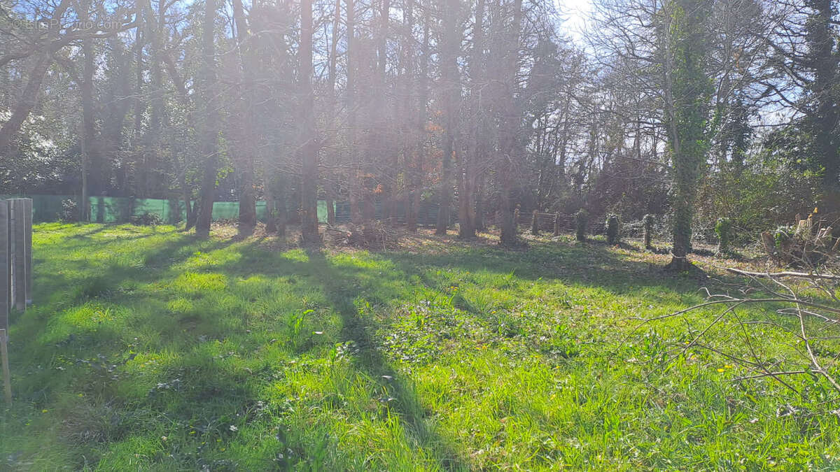 Terrain à SAINT-PALAIS-SUR-MER