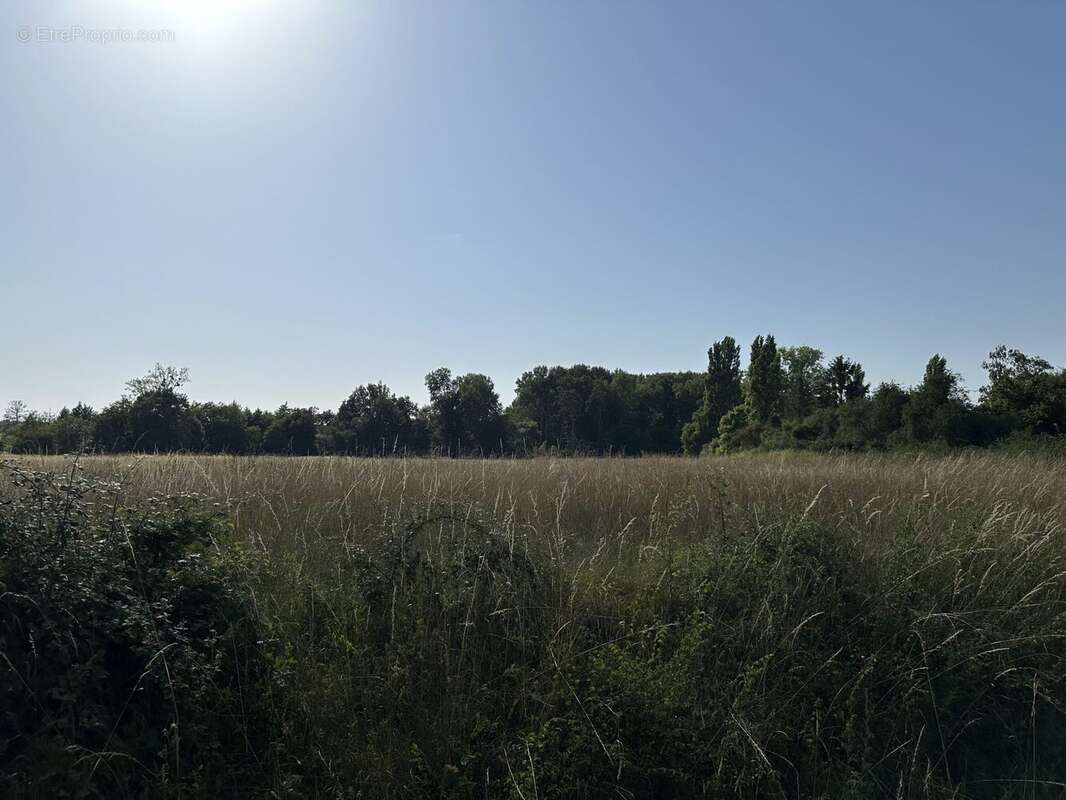Terrain à LA COUR-MARIGNY
