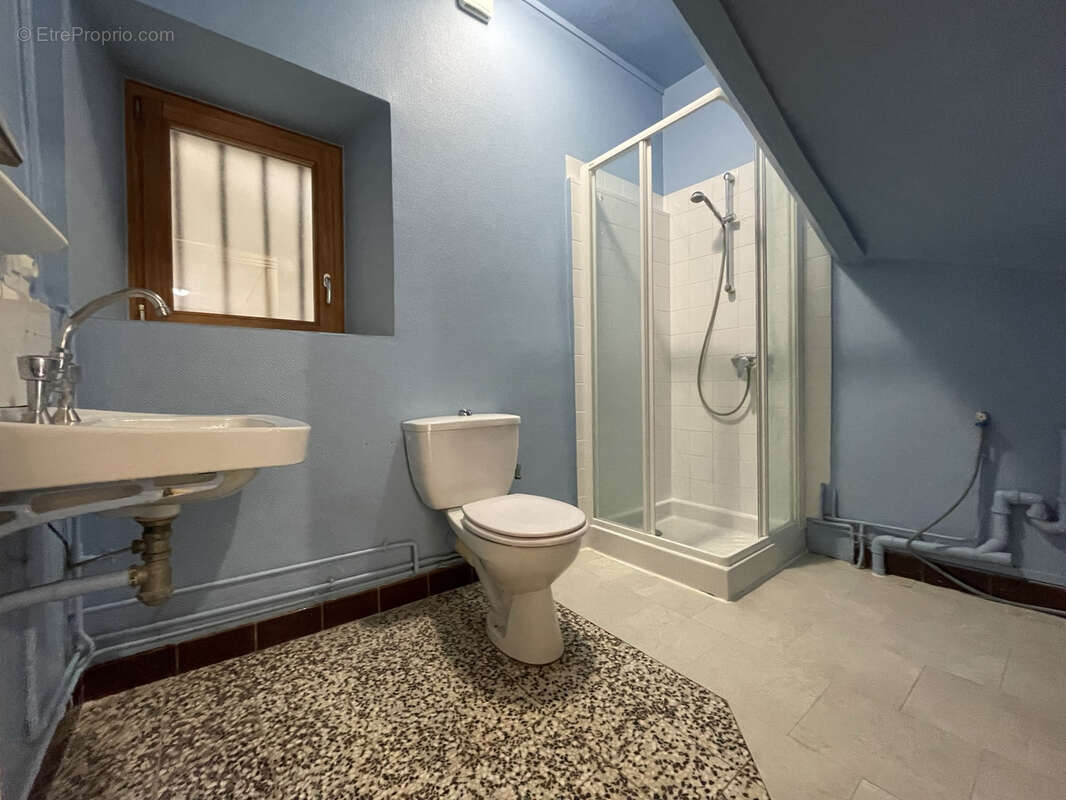 Maison en pierre de 170m2 environ avec cour de 470m2 - dépendance de 44m2 - photo 6