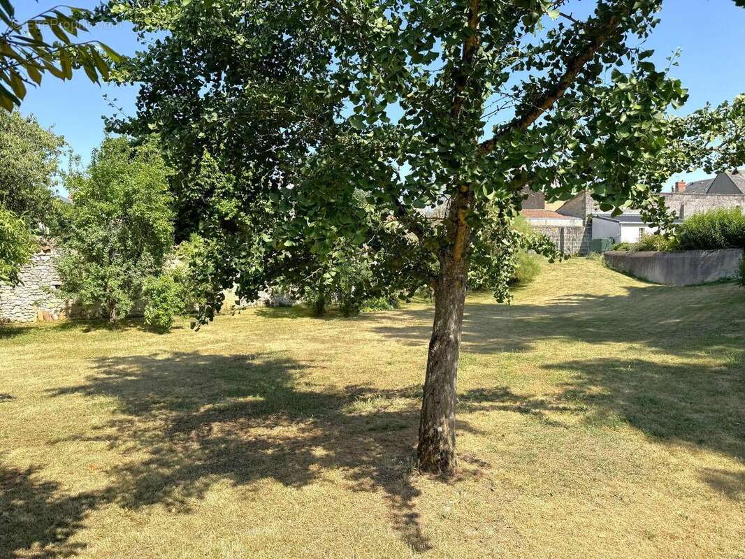   - Terrain à THOUARS