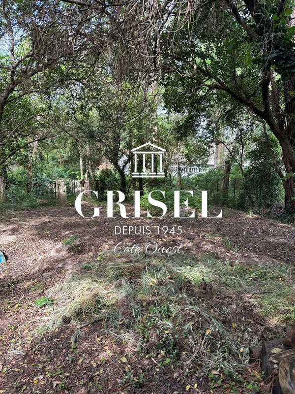 Terrain à LEGE-CAP-FERRET