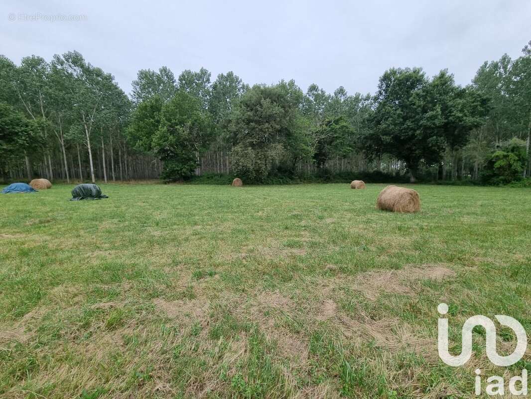 Photo 2 - Terrain à CASTELJALOUX