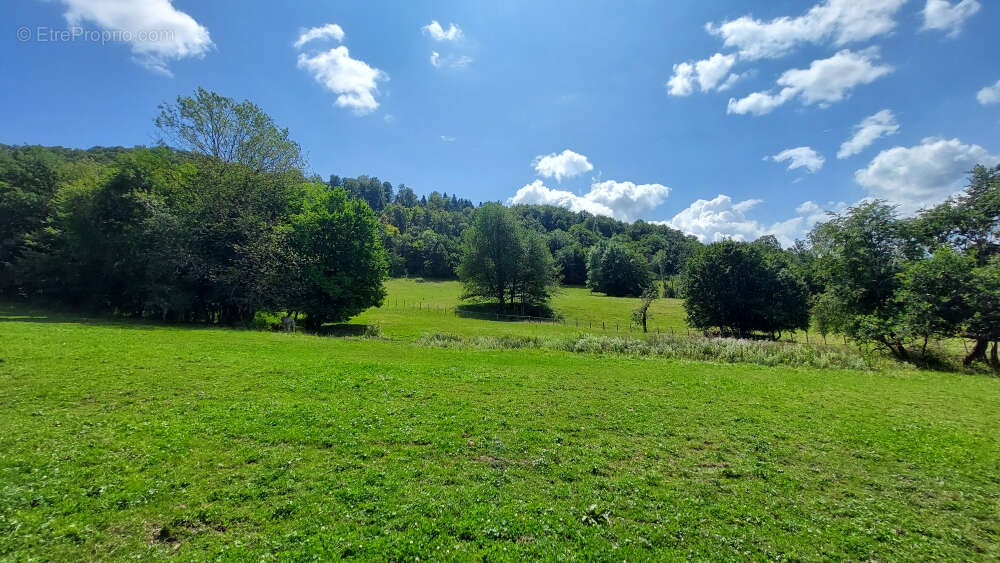 Maison à MONTBELIARD