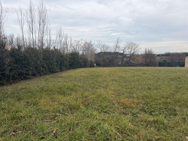 Terrain à MONTAUBAN