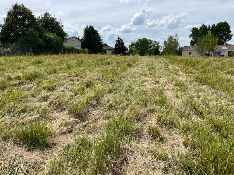 Terrain à LE FOUILLOUX