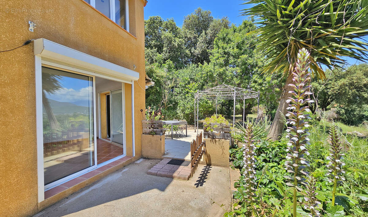 Appartement à PIETROSELLA