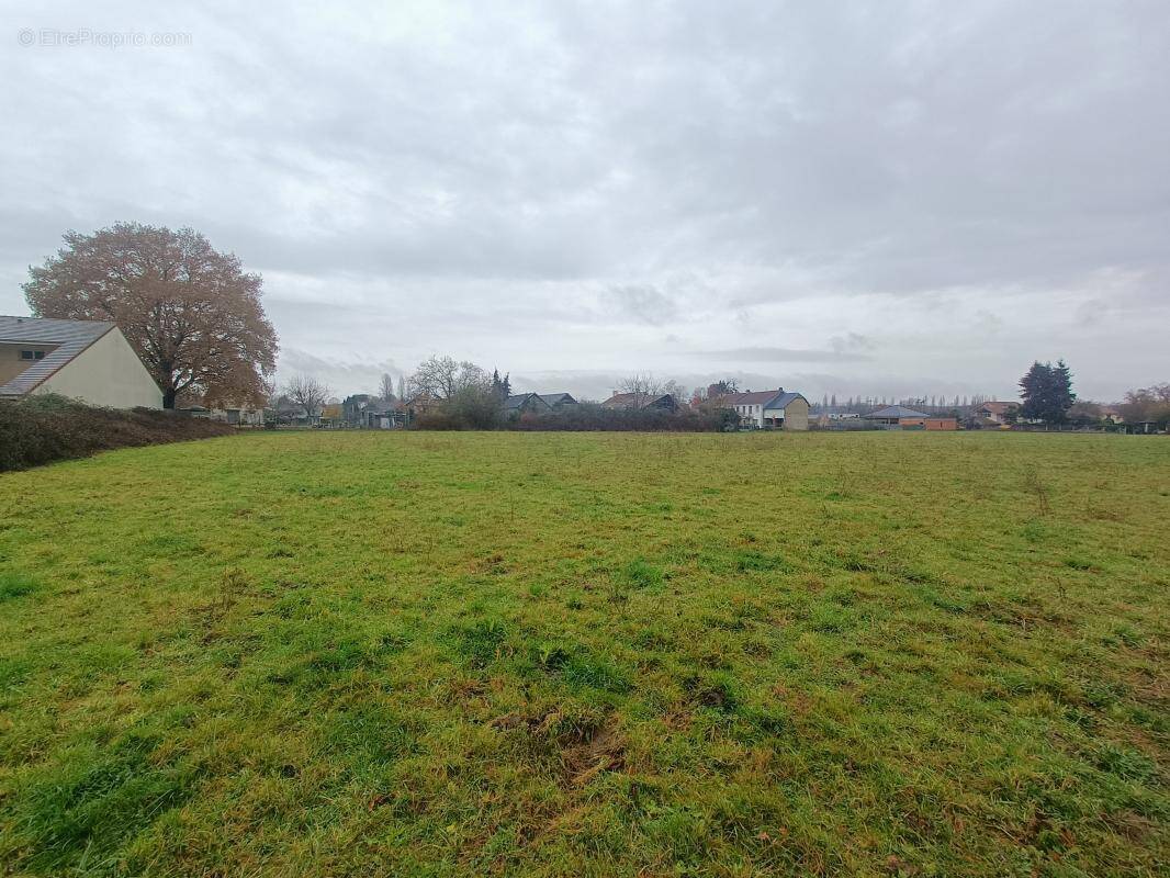 Terrain à BORDERES-SUR-L'ECHEZ