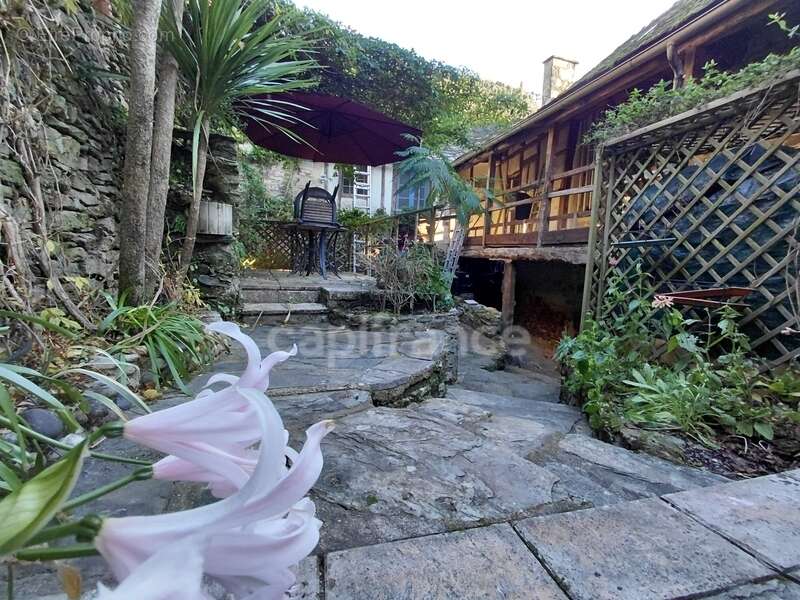 Maison à VIEILLEVIE