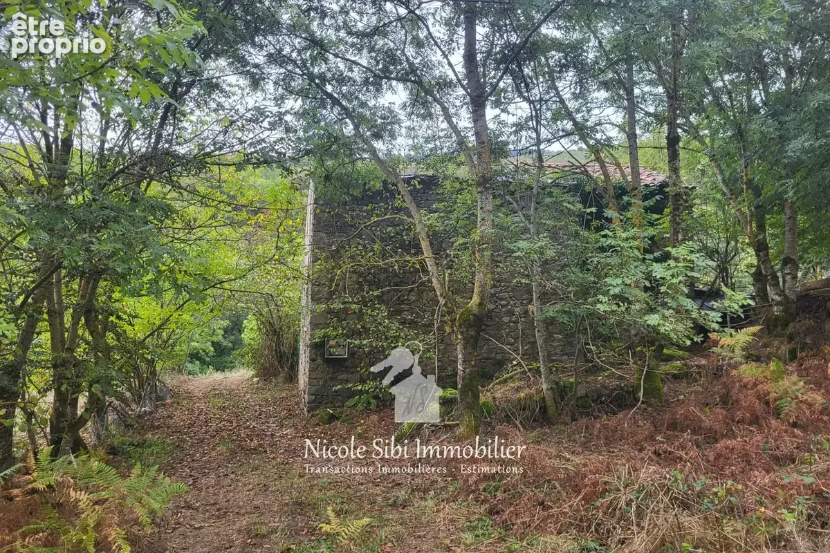 Terrain 49 291 m² à vendre à Valmanya (66320) - photo 6