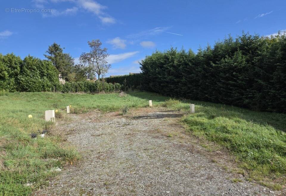 Terrain à LES HAIES