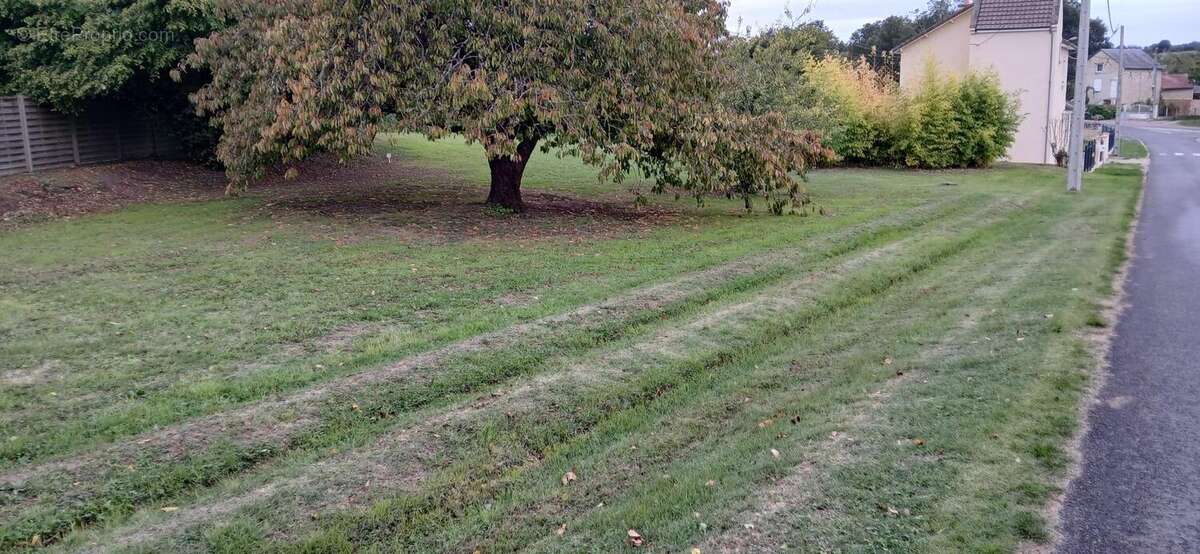 Photo 2 - Terrain à SAINT-LEGER-DE-MONTBRILLAIS