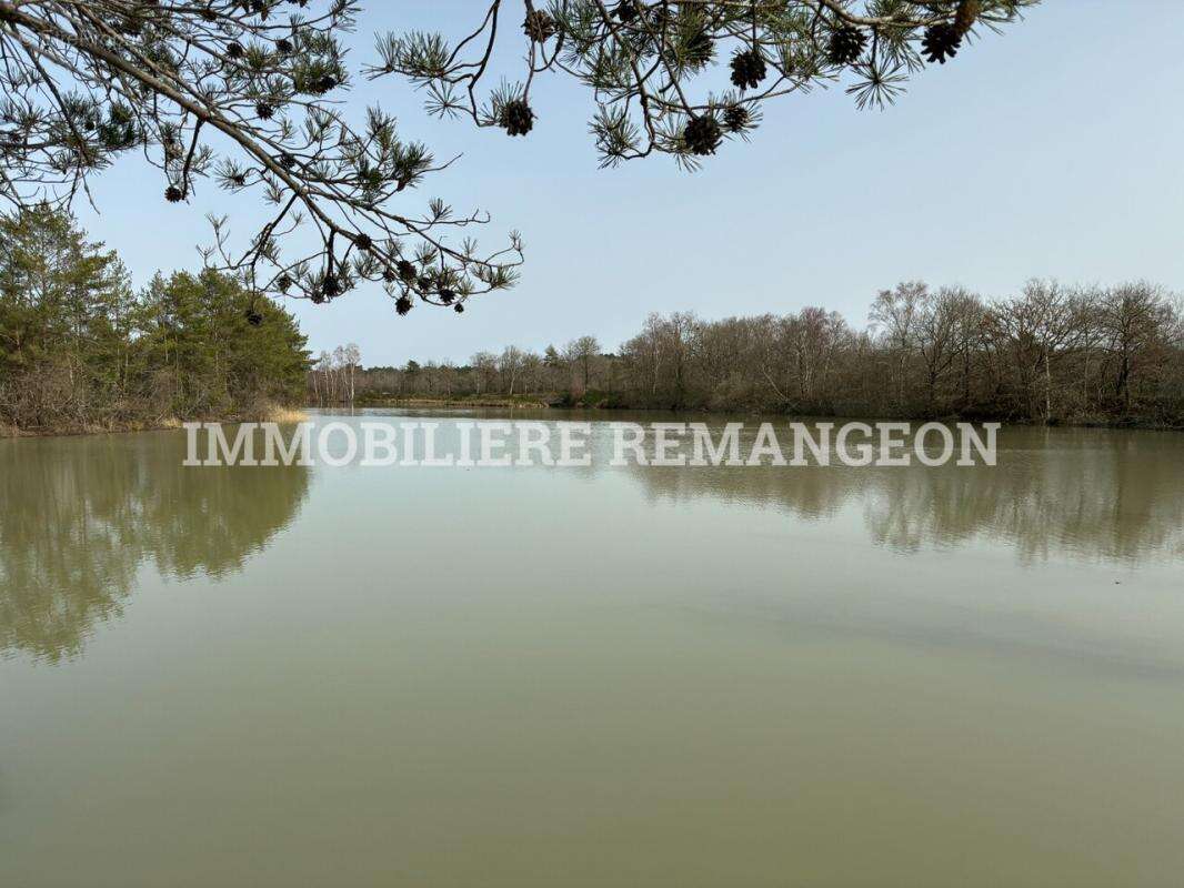 Maison à LAMOTTE-BEUVRON