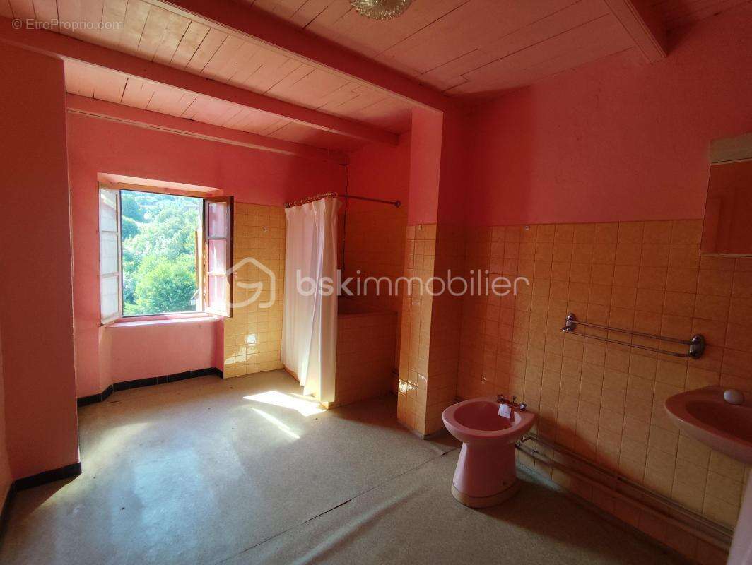 Maison à SAINT-ETIENNE-D&#039;ALBAGNAN