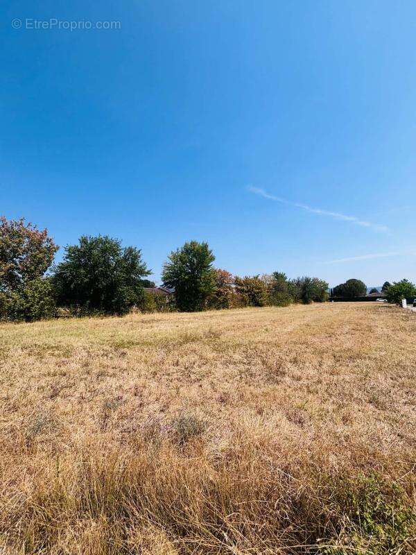 Terrain constructible plat de 776 m² - environnement ideal - photo 4
