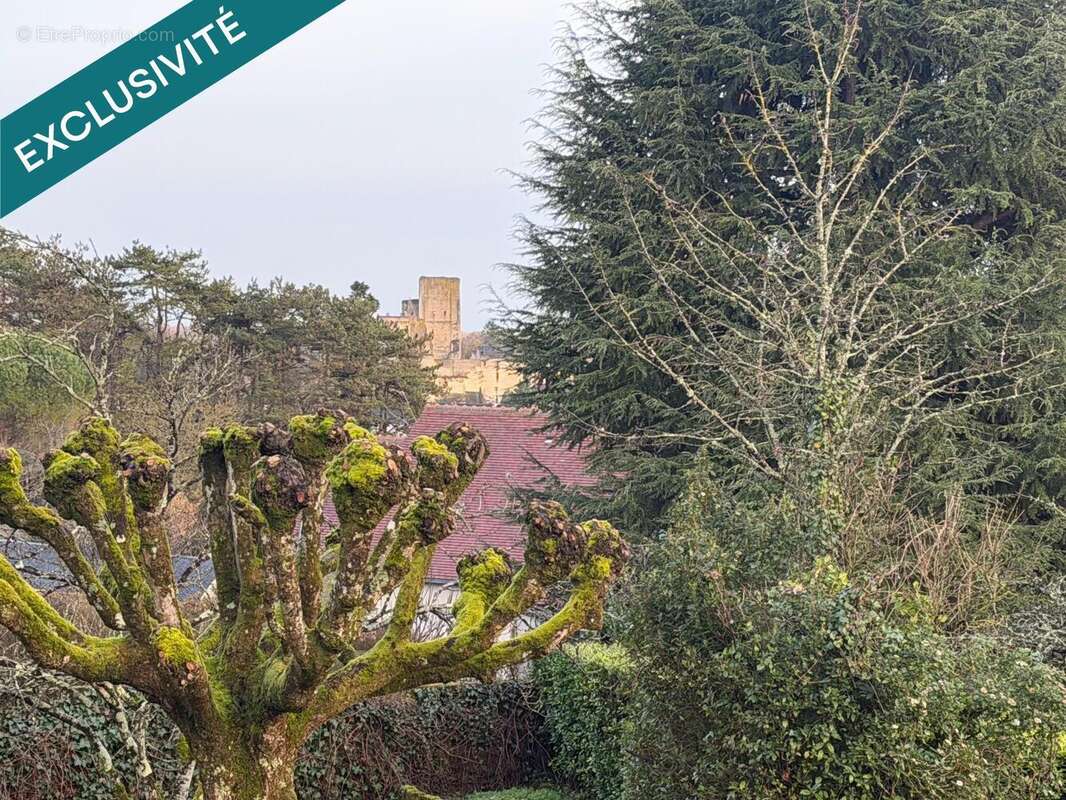Photo 2 - Maison à LOCHES