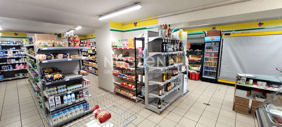 Épicerie / Alimentation générale - Emplacement N°1 - Axe touristique Zoo de Beauval - photo 5