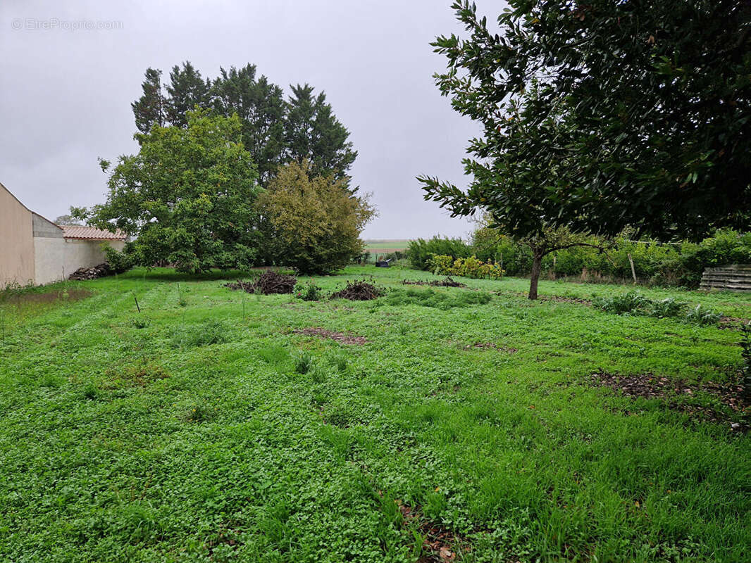 Terrain à ARDILLIERES