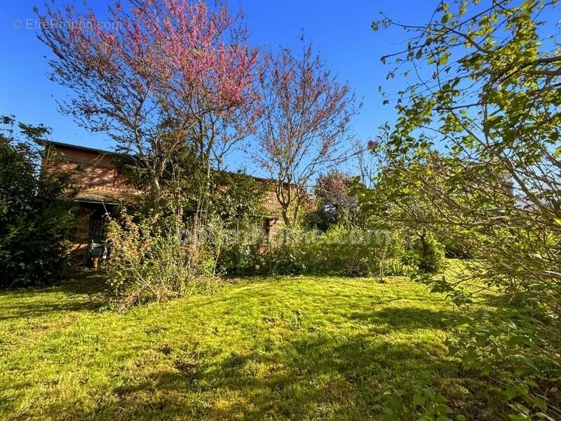 Propriete -  maison bourgeoise d'exception 10 pieces - 220 m2 - terrain 2500 m2 - photo 28