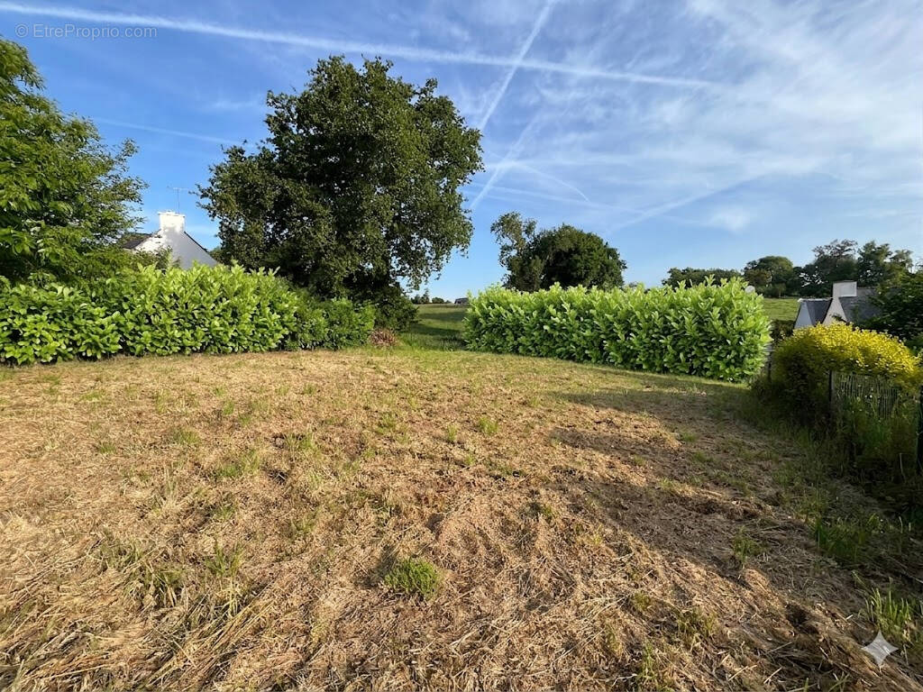 Terrain à LA FORET-FOUESNANT