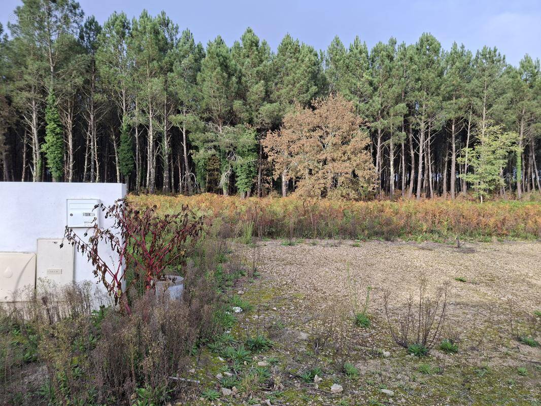 Terrain à SAINT-MARTIN-D'ONEY