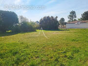 Terrain à NOTRE-DAME-DE-MONTS