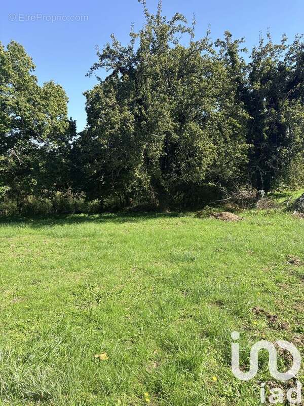 Photo 7 - Maison à SAINT-VINCENT-LE-PALUEL