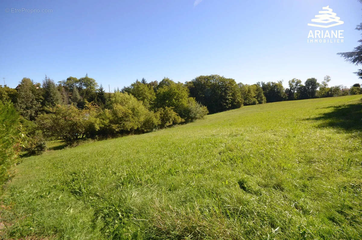 Terrain à viabiliser- 2500 m2 constructible - vente en 1 lot - photo 2