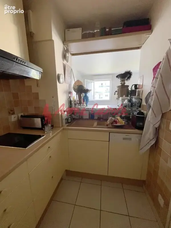 Appartement  pièces - photo 4