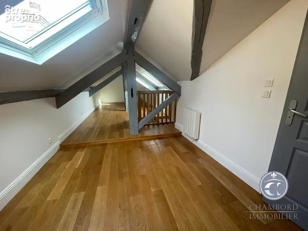 Appartement poétique à vendre au coeur de Blois, exclusivité CHAMBORD IMMOBILIER - photo 9