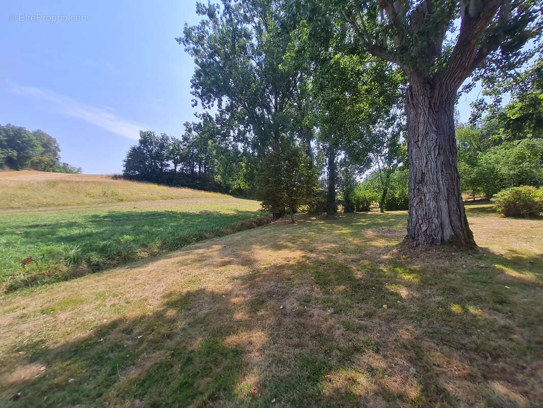 Maison type 6 sur 3700 m2 de parcelle - photo 4