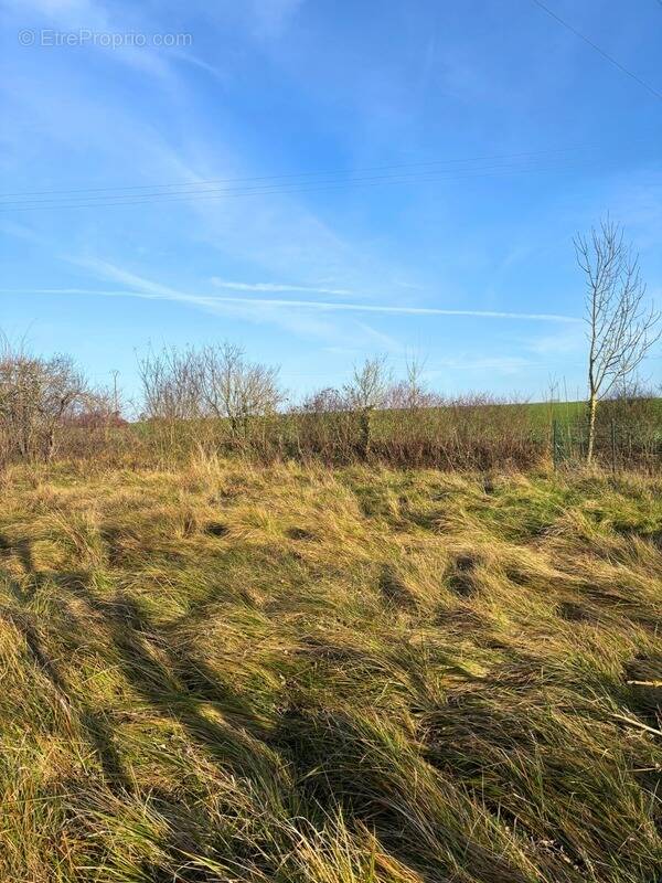 Terrain à DIERREY-SAINT-JULIEN