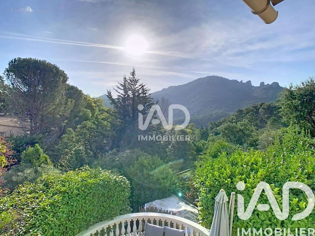 Photo 8 - Maison à MANDELIEU-LA-NAPOULE