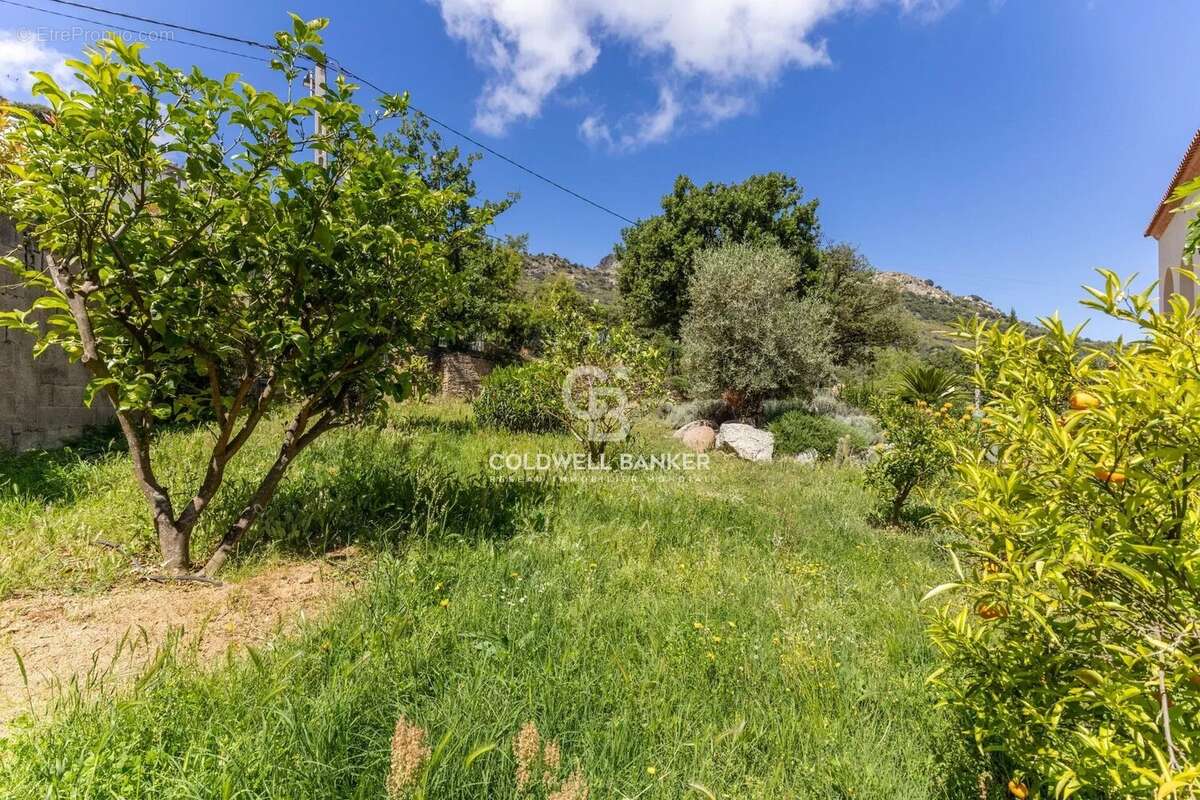 Appartement à SANTA-REPARATA-DI-BALAGNA