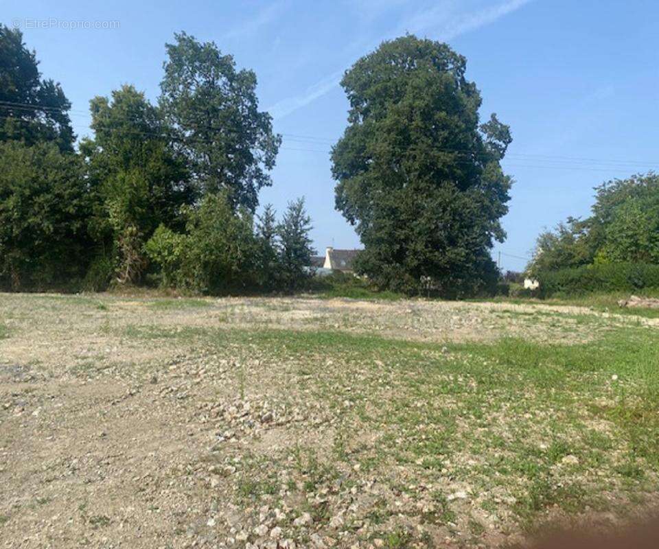 Terrain à PLOERMEL