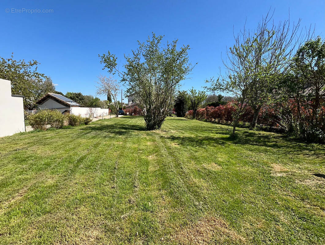 Terrain à CORNEBARRIEU