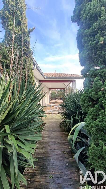 Photo 5 - Maison à CUSSAC-FORT-MEDOC