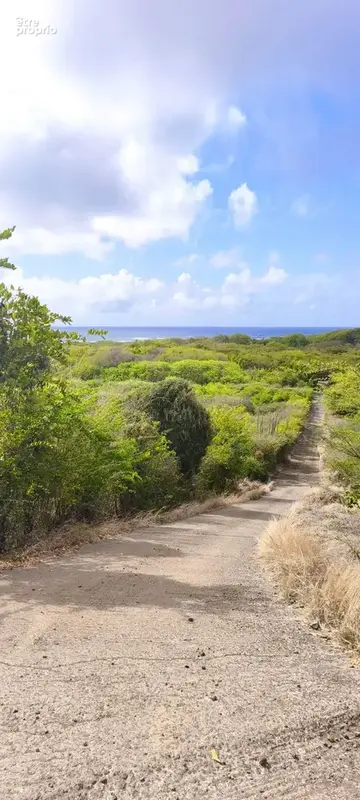 Chemin d'accès actuellement utilisé par les riverains