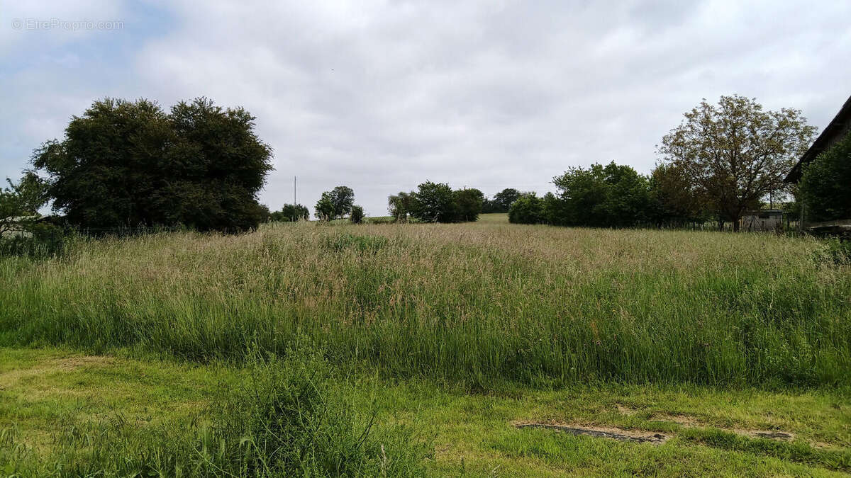 Terrain à PHALSBOURG