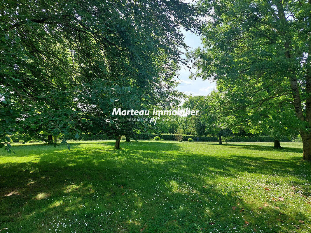 Terrain à LAIGNE-EN-BELIN