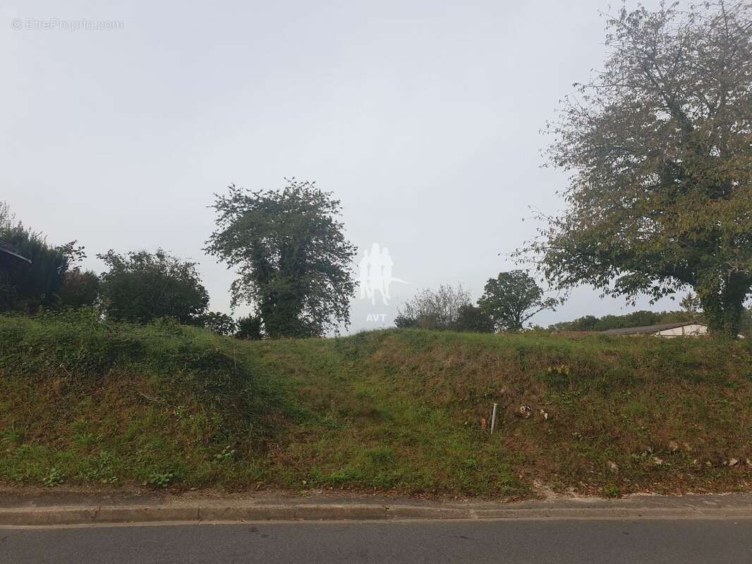 Terrain à VILLECHAUVE