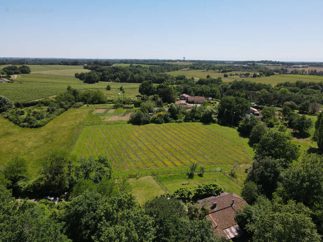 Maison de campagne comprenant une plantation de 400 grenadiers proche d’Eauze - photo 18
