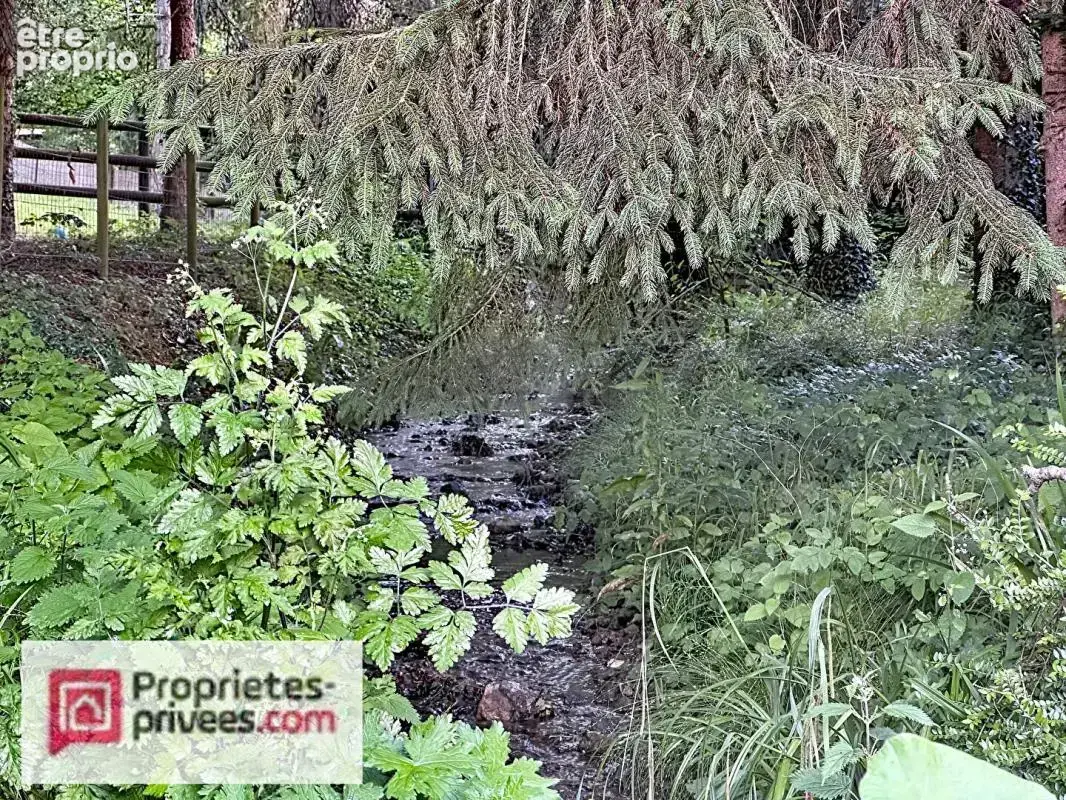 Maison familiale entre ville & campagne au bord d'un ruisseau protégé , à 5 minutes de Lisieux - photo 13
