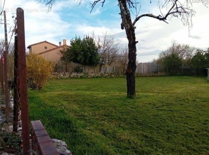 Terrain à CHAUVIGNY