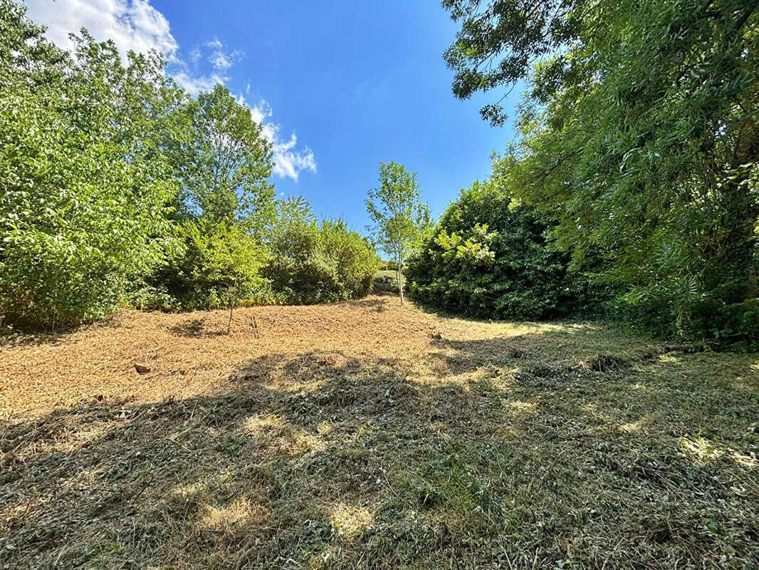 Terrain à THIZY