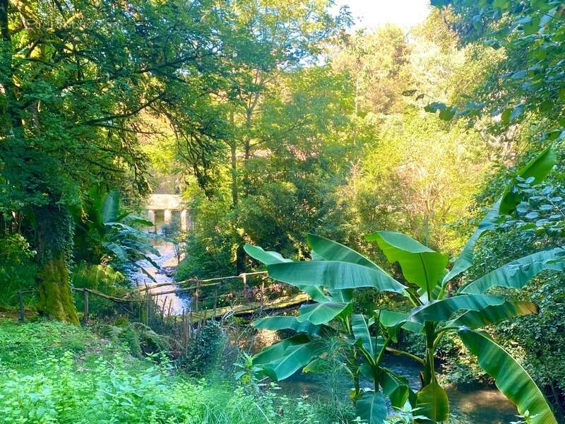 Magnifique Moulin rénové en totalité (DPE D) avec gîte indépendant sur terrain de 3,5HA arboré sans vis à vis BOUGUE (40) - photo 7