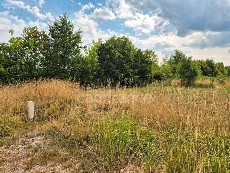 Terrain à bâtir viabilisé 553,00 m² - Libre Constructeur - photo 4