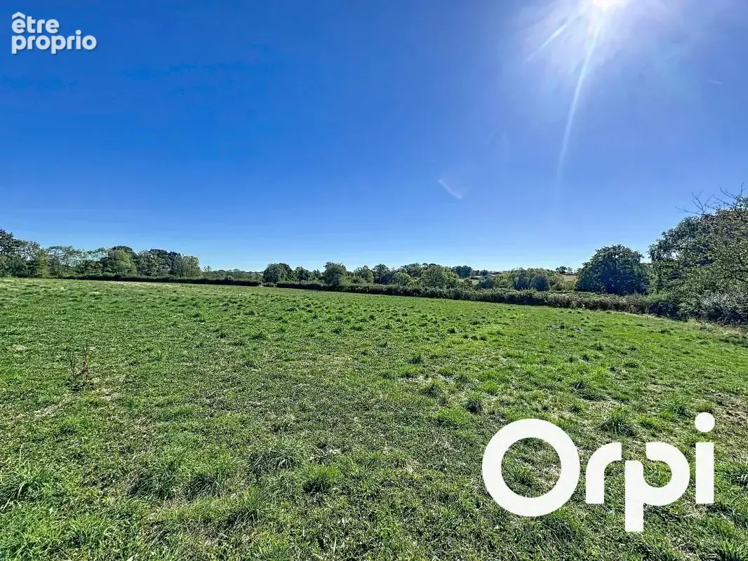 ORPI Combrailles référence 4162 - photo 22