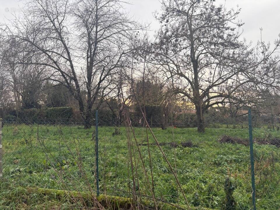 Terrain à VILLEMATIER