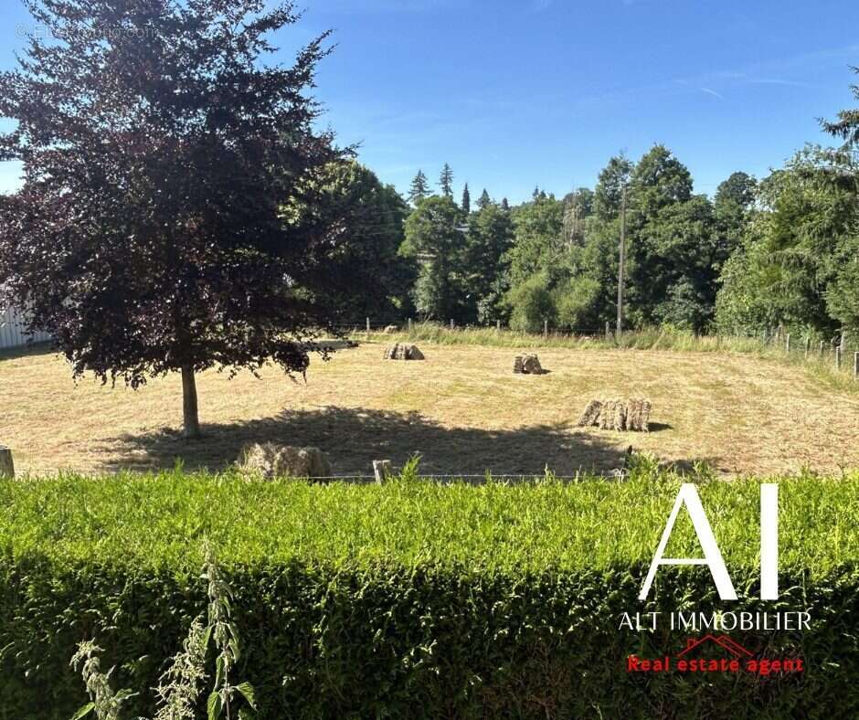 Terrain 3439 m² à Vire  - photo 3